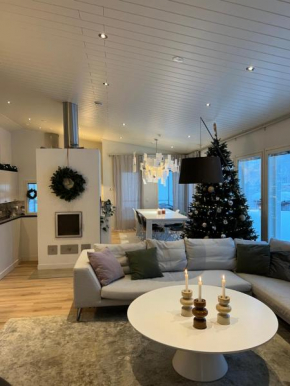 Arctic Circle Home for Winter Holiday